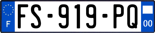 FS-919-PQ