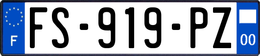 FS-919-PZ