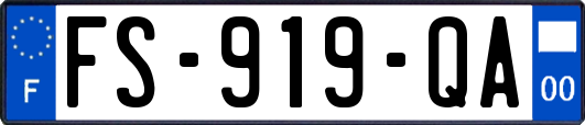 FS-919-QA
