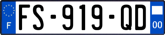 FS-919-QD