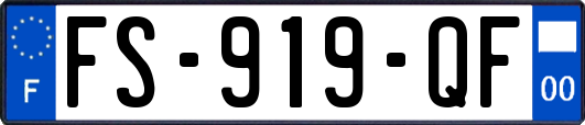 FS-919-QF