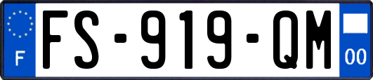 FS-919-QM