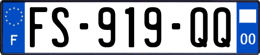 FS-919-QQ