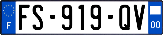 FS-919-QV