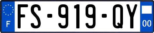 FS-919-QY