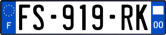 FS-919-RK