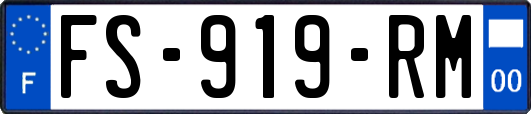 FS-919-RM