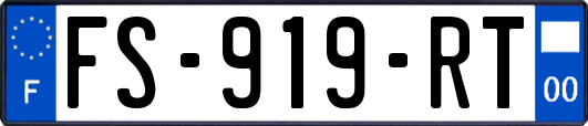 FS-919-RT