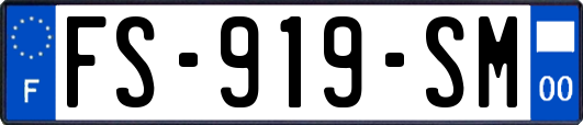 FS-919-SM