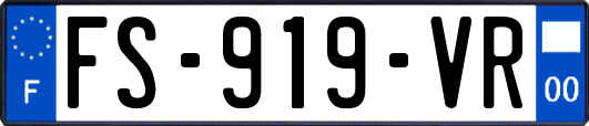 FS-919-VR