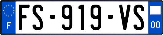 FS-919-VS