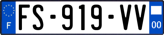 FS-919-VV
