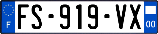 FS-919-VX