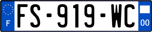 FS-919-WC