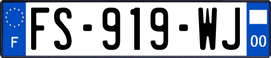 FS-919-WJ