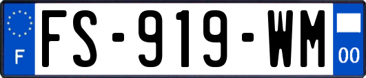 FS-919-WM