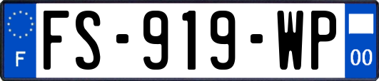 FS-919-WP