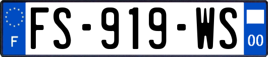 FS-919-WS