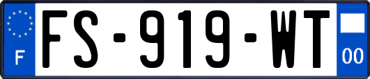 FS-919-WT