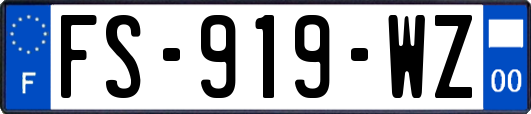 FS-919-WZ