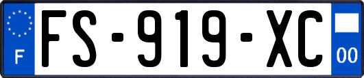 FS-919-XC