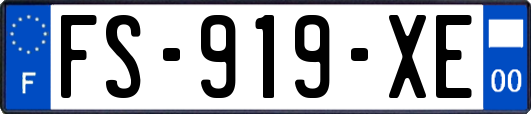 FS-919-XE