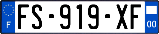 FS-919-XF