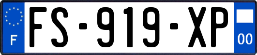 FS-919-XP