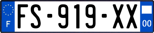 FS-919-XX
