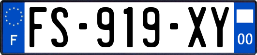 FS-919-XY