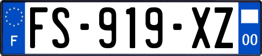 FS-919-XZ