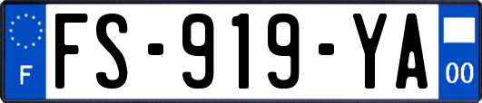 FS-919-YA