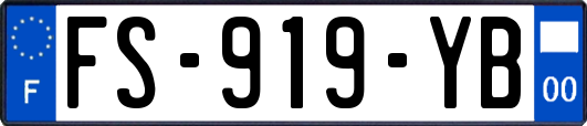 FS-919-YB