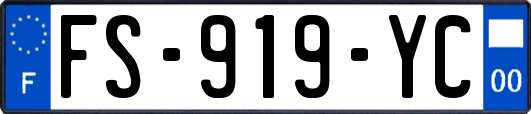FS-919-YC