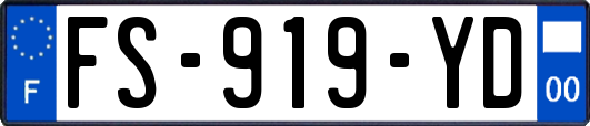 FS-919-YD
