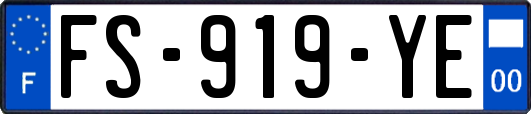 FS-919-YE