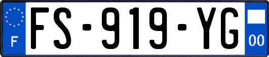 FS-919-YG