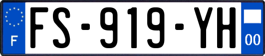 FS-919-YH