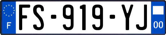 FS-919-YJ