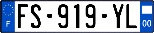 FS-919-YL