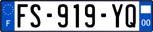 FS-919-YQ