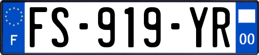 FS-919-YR