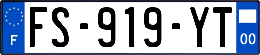 FS-919-YT