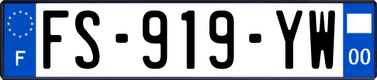 FS-919-YW