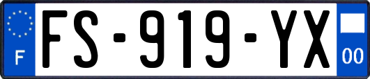 FS-919-YX
