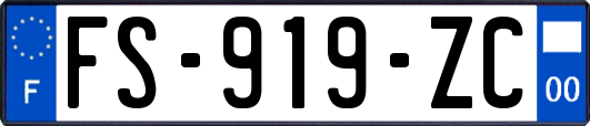 FS-919-ZC