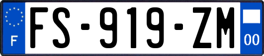 FS-919-ZM