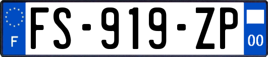 FS-919-ZP