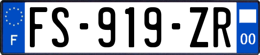 FS-919-ZR