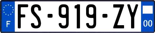 FS-919-ZY